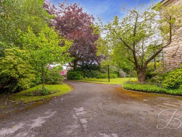 The lengthy driveway that leads you from the entrance gates.