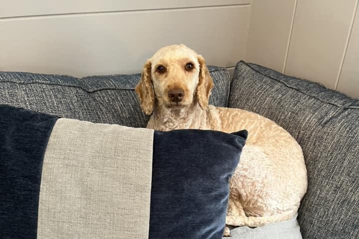 Princess Poppy, aged six.
