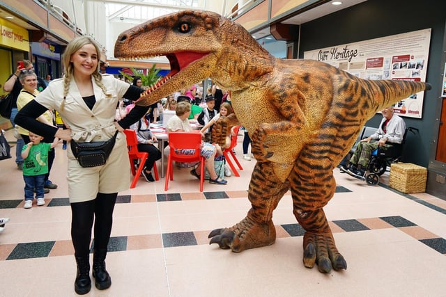 Former Miss Mansfield Amy Bielby with a raptor.