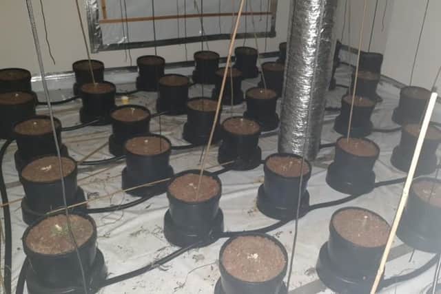 Police uncovered the grows yesterday (March 19).