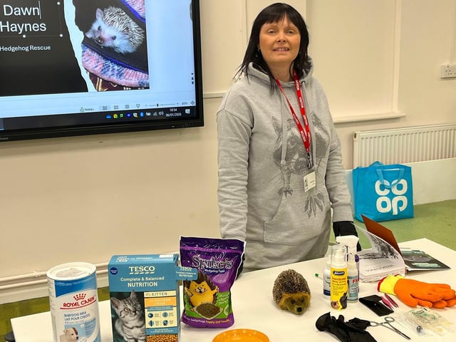 Dawn Haynes from The Hogs of Winterfell Hedgehog Rescue shared her knowledge