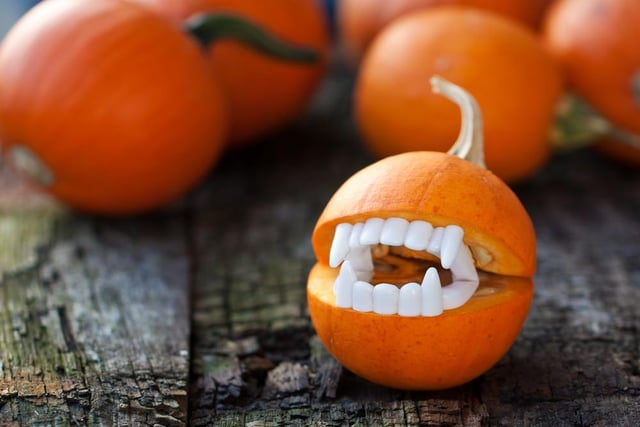 If you have a spare pair of vampire teeth lying around as part of your Halloween costume, you can make a cute little vampire pumpkin.