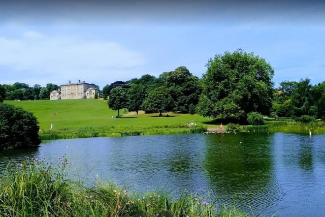 Treat the family to a day around the beautiful gardens at Custworth Hall.