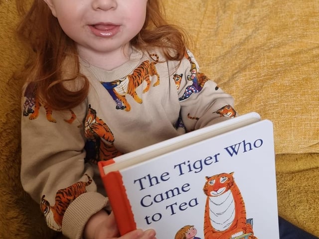 Ivy aged two from Shirebrook as the Tiger Who Came To Tea.
