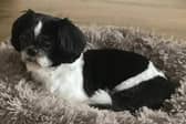 Olga is missing from her Forest Town home