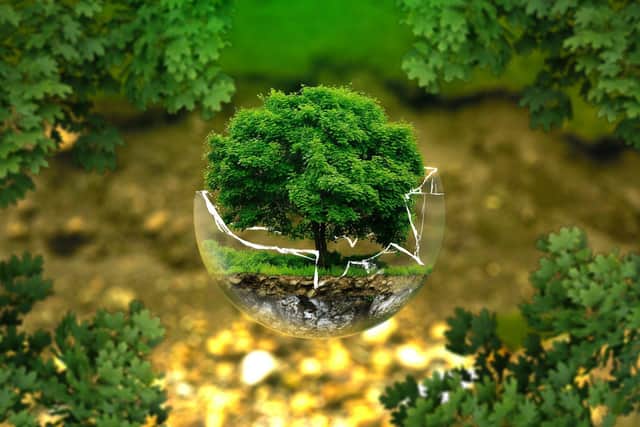 New funding to help create a low carbon economy has been launched