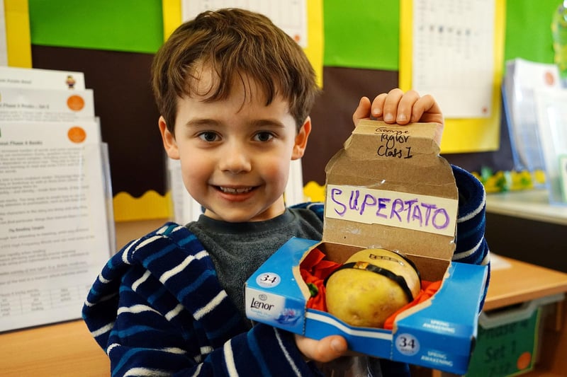 World book day in 2022 at High Oakham Primary School world book day. George with his supertato design.
