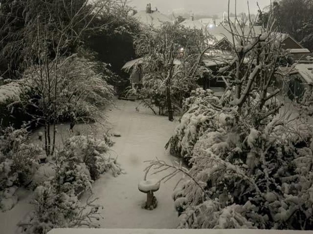 A snowy Mansfield back garden.