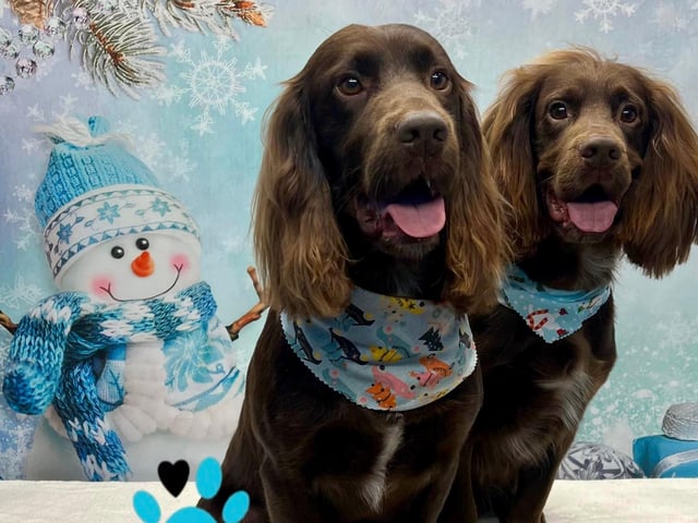 The announcement of the photoshoot was well received by customers