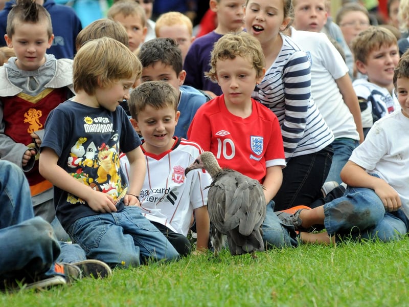 Archie the Vulture meets his fans