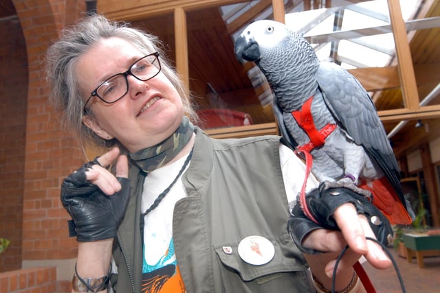 Britta Jacksop pictured with her African Grey Parrot at the Summer Safari of 2006 at Mansfield Museum.