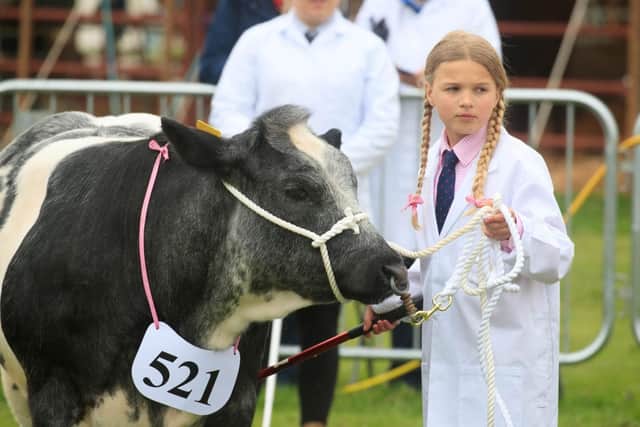 Visitors will be able to see more animals and enjoy a new revved-up attraction.