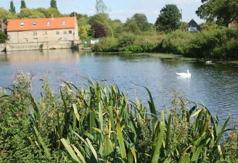 The picturesque Carrs in Warsop (pictured) is one of three parks or nature reserves in the Mansfield area that are staging special Xplorer events for children during the school half-term break. Xplorer is a family-friendly navigational trail that is educational and fun, involving a mix of physical activity and decision-making. You can take part at Yeoman Hill, Mansfield Woodhouse next Tuesday, Titchfield Park, Mansfield next Wednesday and The Carrs on Friday, June 2.(all 1.30 pm to 3.30 pm).