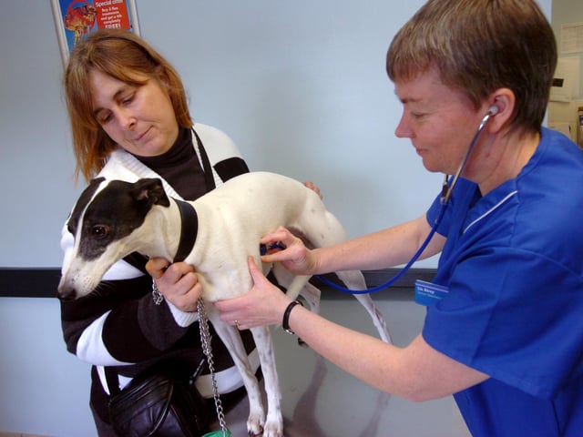 Senior Vet Liz Airey examines 'Gem' with owner Diane Baines at the PDSA Hospital at Attercliffe in 2009