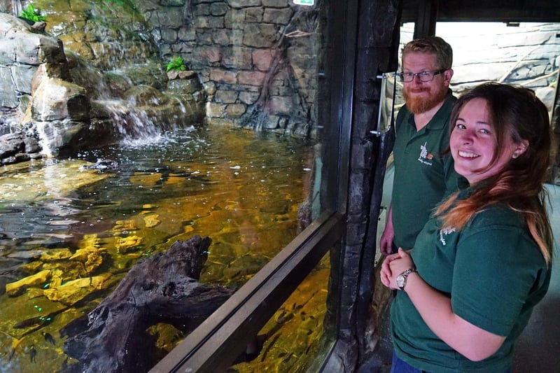 Exotics keepers Martin Vernon and Elle Knight beside the crocodile tank.