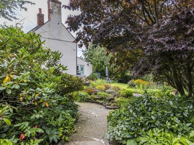 The garden at the Barrows Green Cottages home is bristling with mature plants.