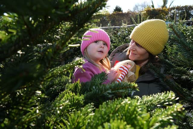 Families can explore Notcutts Garden Centre over the Christmas period with the free festive children’s trail.