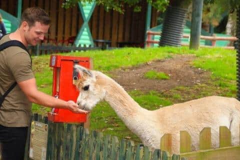 Wheelgate farm is a great place to get up close and personal with the animals.