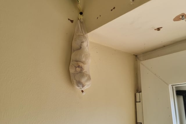 A string of garlic bulbs was hung up.