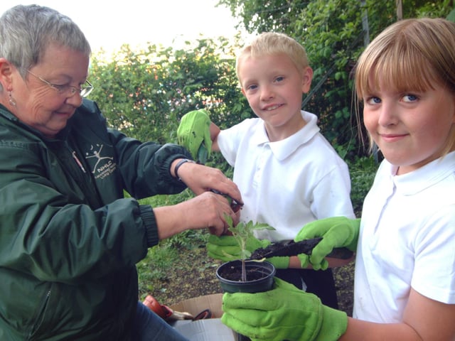 Pupils at Newstead School created their own allotment supported by Newstead Healthy Living Centre and The Allotment Association. Jen Milliken, left, of The Allotment Association is pictured potting tomato plants with pupils Shaun Green and Olivia Richardson.