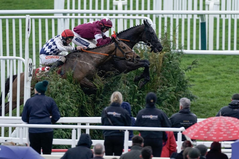 Crack Irish trainer Gordon Elliott, who has saddled three National winners, including the legendary Tiger Roll, believes his best hope this year lies with the classy DELTA WORK (9/1), owned by Michael O'Leary, of Ryanair fame. The 10yo boasts a superb record at the Cheltenham Festival, winning three times, most notably the last two Cross-Country Chases, and finishing a close fifth in the 2020 Gold Cup. He was a fine third in last year's Aintree showpiece, despite being given an over-patient ride, and is 1lb lower this time, suggesting he might be hard to keep out of the frame.