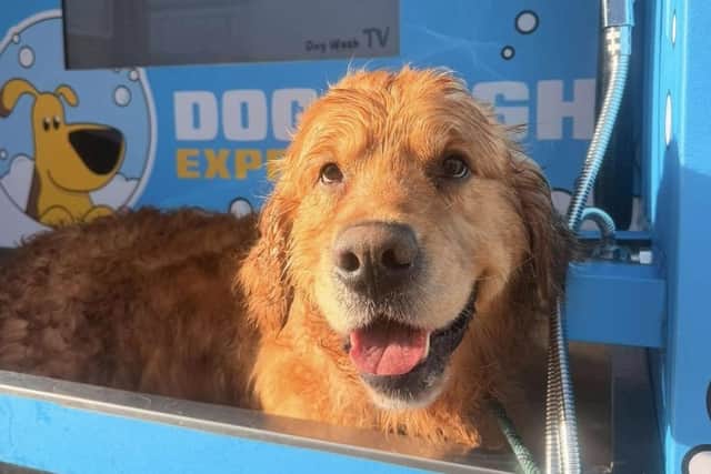 Mansfield dog owners are in for a treat