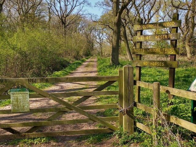 Muddy Stilettos said: "One of the country’s few remaining ancient woodlands (it really is ancient, dating back to the 13th century). On really good years there’s a proper carpet of blooms and plenty of pathways to view them from."