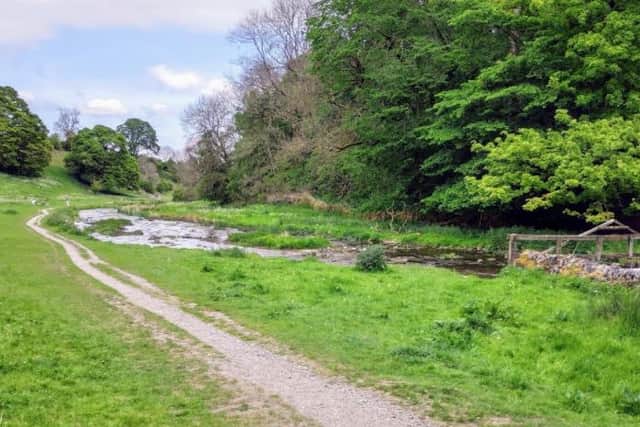 Time for something a bit more challenging. The entire course of Limestone Way stretches out for 46 miles, so you and your dog will having to be fighting fit to complete it - it's worth it, though.