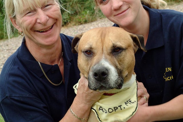 Elaine Shaw, left, and Rachael Shaw with ridgeback cross Bud at the Babworth Crossing Cottage Kennels on Mansfield Road, Worksop back in 2006