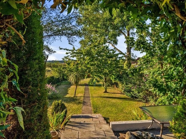 Another look at the verdant back garden, with its steps leading down from the patio area.