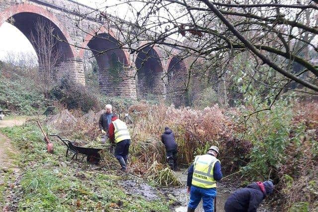 Wildlife volunteers working in the area close to where 200 homes had been planned for the former Gregory Quarry site in Mansfield.