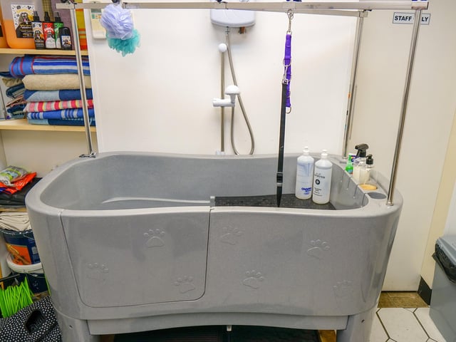 A big bath awaits mucky pooches at Transpawmation.