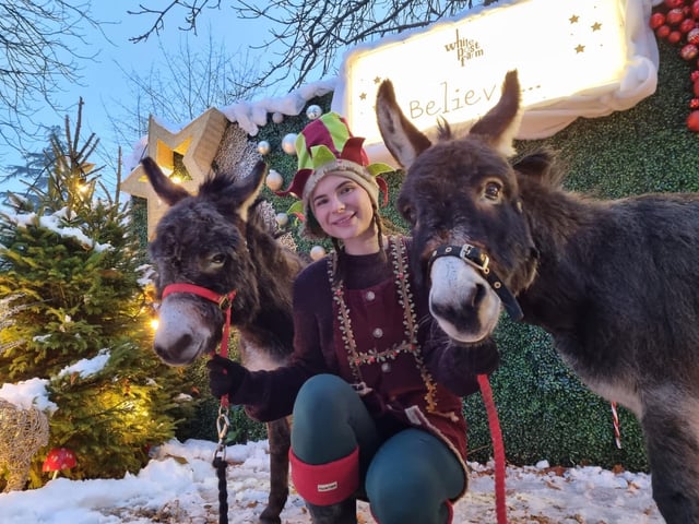 To add to the festive experience, there are reindeers and miniature donkeys at the farm.