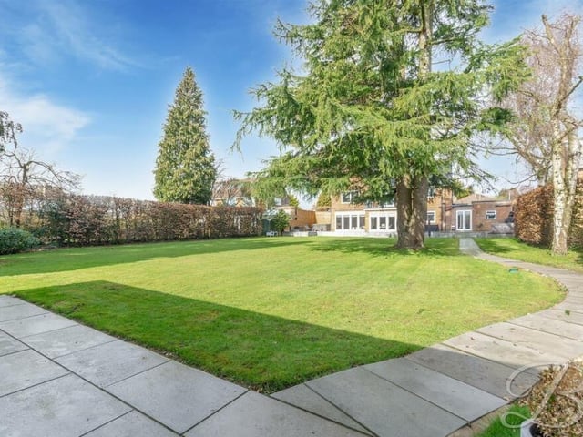 Another shot of the garden, with a spectacular tree taking centre stage.