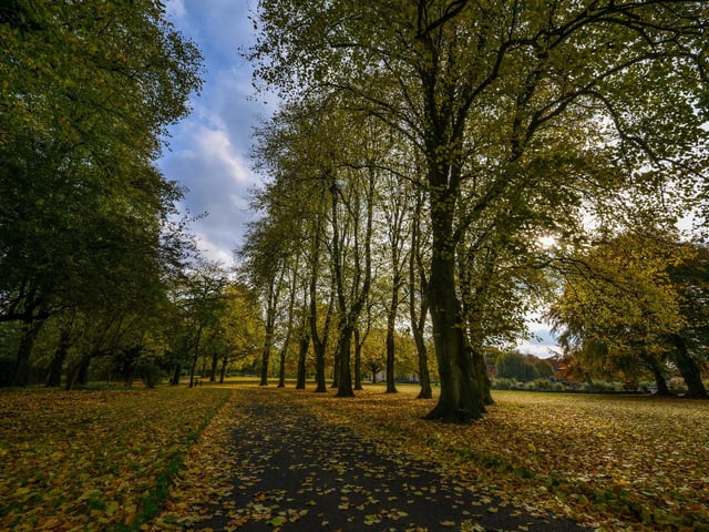 Autumnal Mansfield