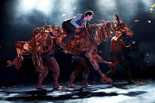 'That horse, he listened': War Horse at the New London Theatre (photo: Brinkhoff Mögenburg)