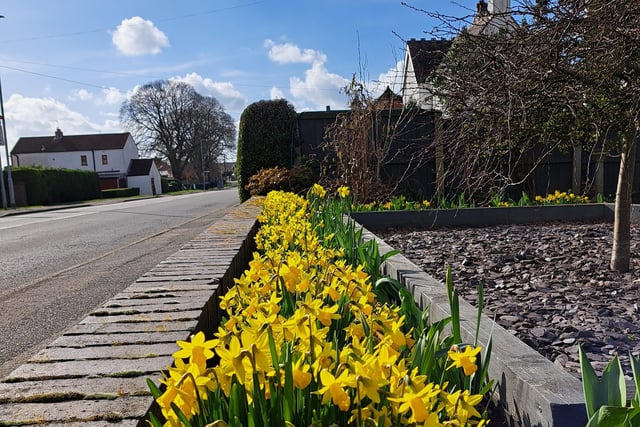 Debby Rutherford passed a beautiful display of mini daffodils when walking in Newthorpe on a lovely spring day.