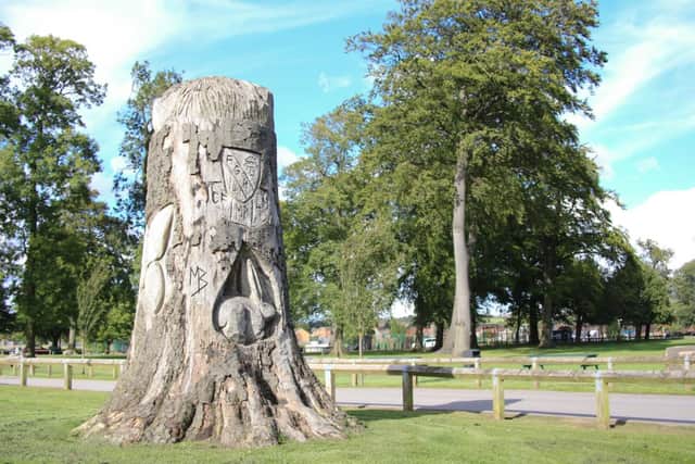 Six mature ash trees are to be felled at Sutton Lawn