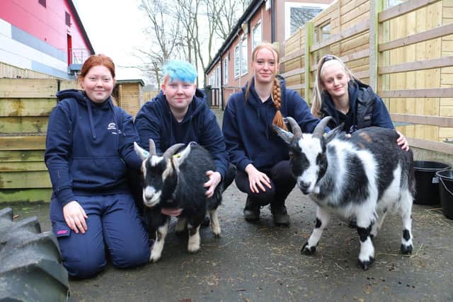 (l-r) Scarlett Dickinson, Zoe Offley, Lorna Edwards and Demi-Leigh Smith with goats Jerry and Galaxy