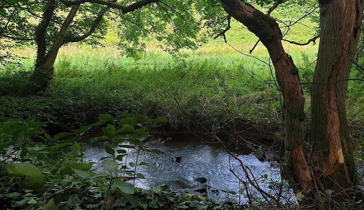 This is a popular trail for hiking, running, and walking, but you can still enjoy some solitude during quieter times of day. The best times to visit this trail are April through October. Dogs are welcome, but must be on a lead. Rated: Easy.