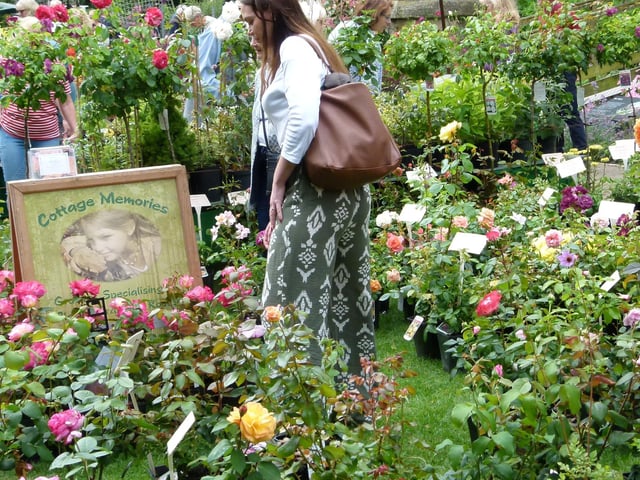 Southwell Plant Fair
