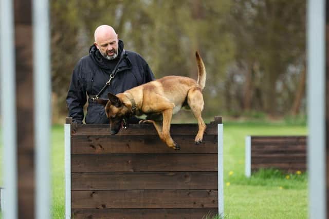 Police dog Russo in action during a training session. Photo: Nottinghamshire Police