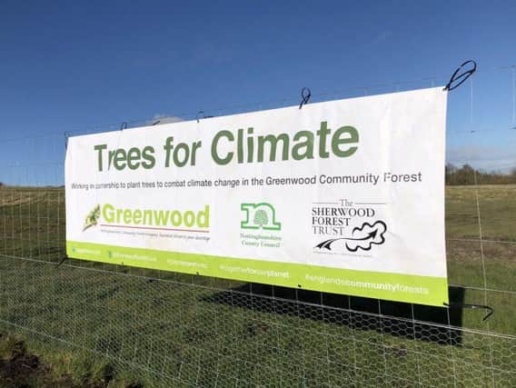 Tens of thousands of new trees will be planted on land near Brinsley Headstocks nature reserve later this year.