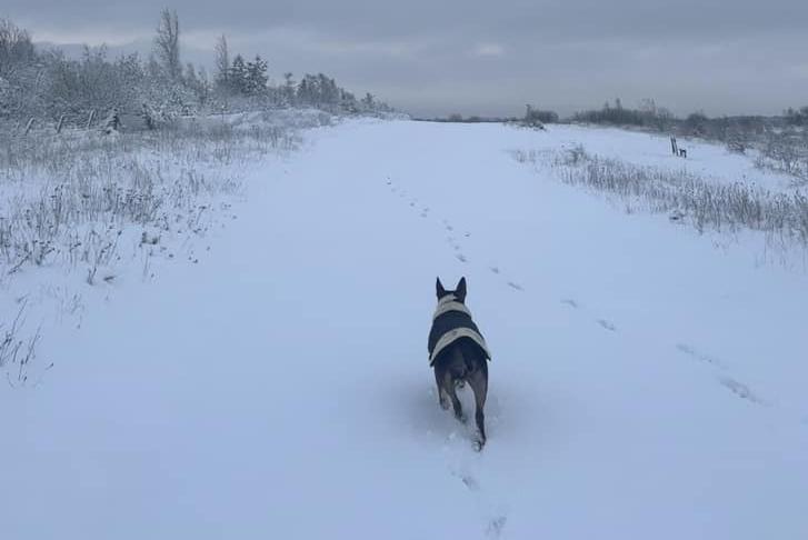 Off for a walk in the snow