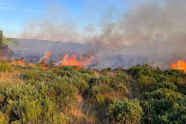 Nottinghamshire Fire & Rescue Service has warned people about the risks of causing wild fires this weekend