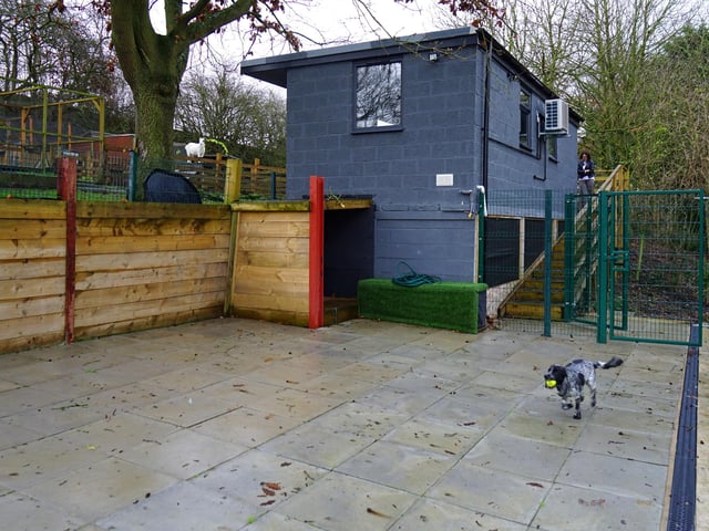 There is ample space in the enclosed outdoor areas for dogs to play and socialise.