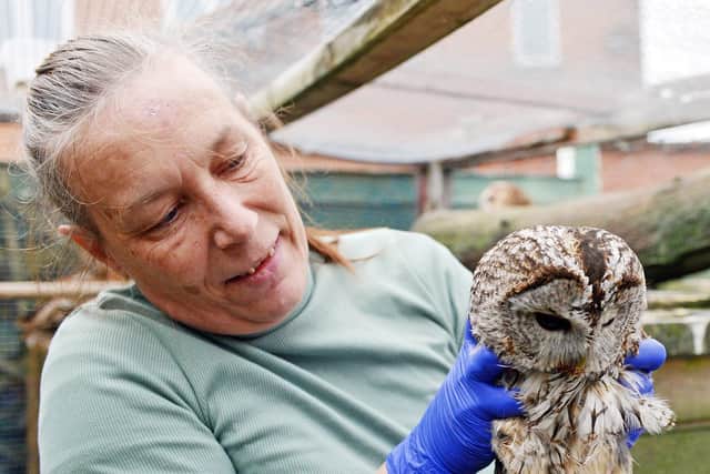 Cheryl Martin with a rescued tawny owl.