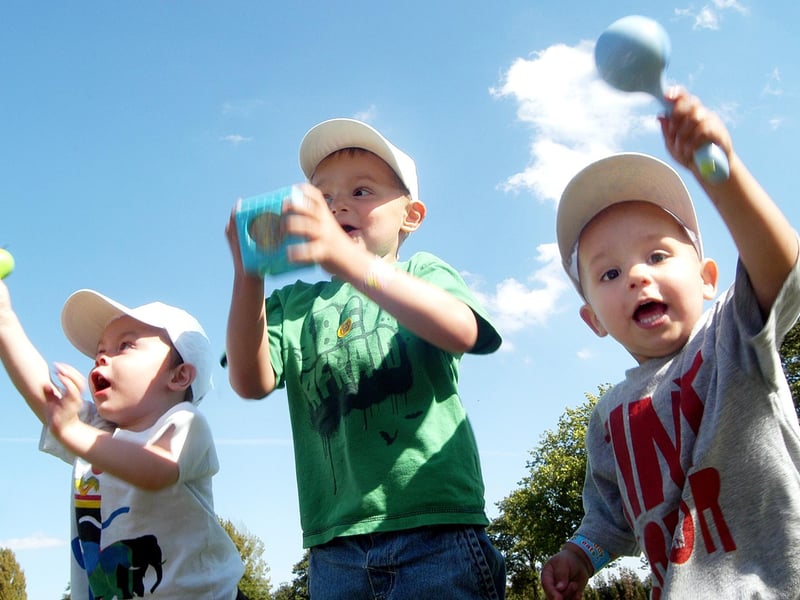 A 2009 summer playday organised by the Ashfield Play Forum in Titchfield Park brought out the joy in Owen Cattermer and Benjamin Damien Cooper.
