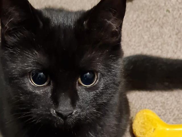 Sue Wilkinson shared a photo of the adorable Luna.