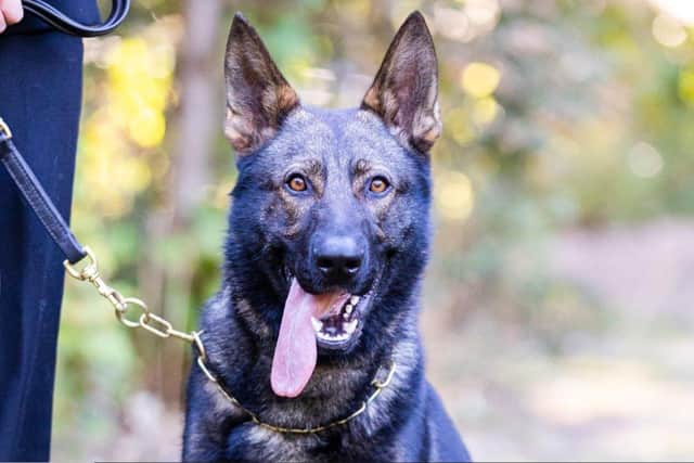 The suspect was pulled from his bike by PD Max in Sutton town centre. Photo: Nottinghamshire Police
